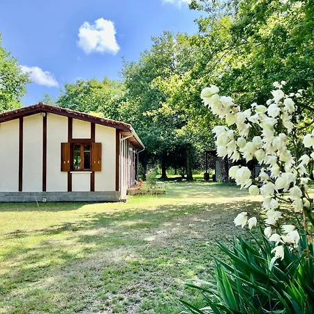 Hébergement de vacances Maison En Forêt, Calme, Proche Village Et Piste Cyclable - Meublé 3 étoiles *
