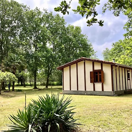 Maison En Foret, Calme, Proche Village Et Piste Cyclable - Meuble 3 Etoiles Semesterbostad