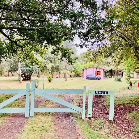 Hébergement de vacances Maison En Forêt, Calme, Proche Village Et Piste Cyclable - Meublé 3 étoiles