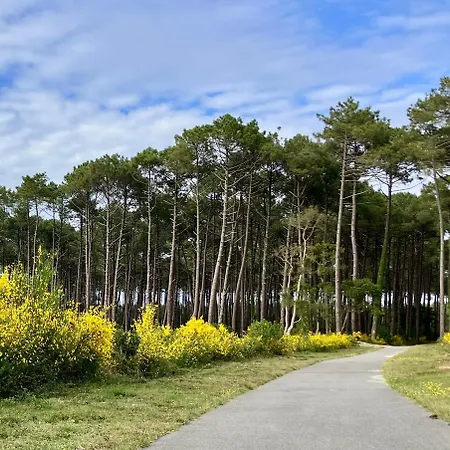 Maison En Forêt, Calme, Proche Village Et Piste Cyclable - Meublé 3 étoiles * Uza