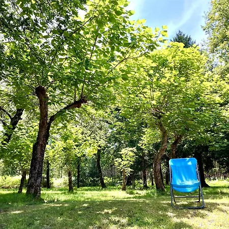 Maison En Foret, Calme, Proche Village Et Piste Cyclable - Meuble 3 Etoiles * Uza