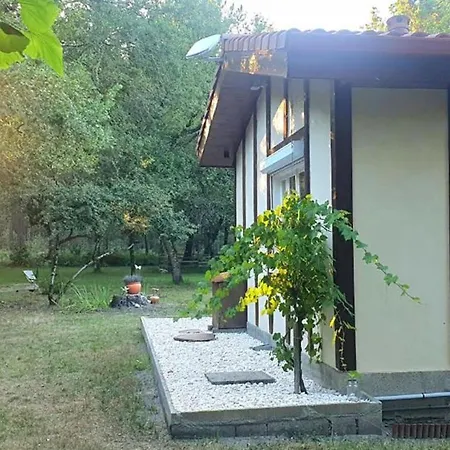 Maison En Forêt, Calme, Proche Village Et Piste Cyclable - Meublé 3 étoiles Hébergement de vacances *