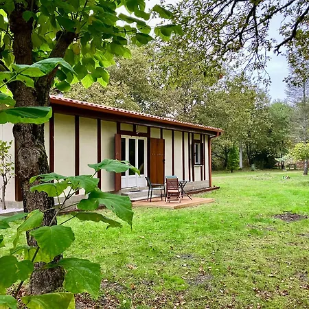 Maison En Forêt, Calme, Proche Village Et Piste Cyclable - Meublé 3 étoiles Hébergement de vacances