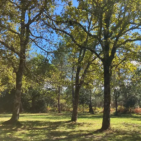 Maison En Foret, Calme, Proche Village Et Piste Cyclable - Meuble 3 Etoiles Uza