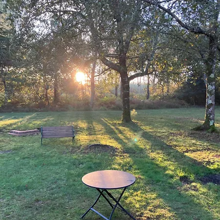 Maison En Forêt, Calme, Proche Village Et Piste Cyclable - Meublé 3 étoiles Hébergement de vacances