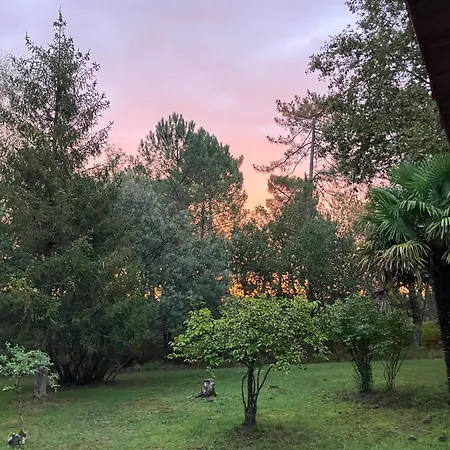 Prázdninový dům Maison En Foret, Calme, Proche Village Et Piste Cyclable - Meuble 3 Etoiles *