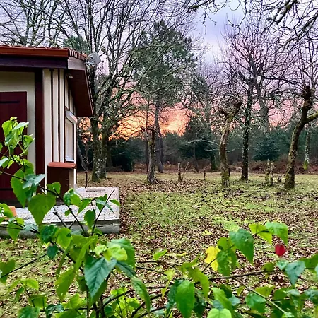 Maison En Foret, Calme, Proche Village Et Piste Cyclable - Meuble 3 Etoiles Uza