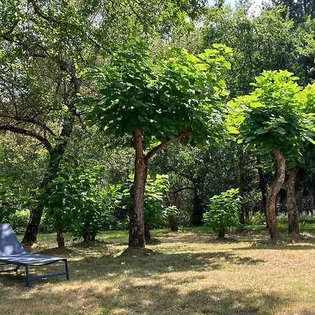 Сasa de vacaciones Maison En Forêt, Calme, Proche Village Et Piste Cyclable - Meublé 3 étoiles *