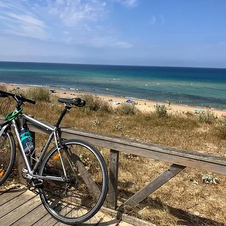 Maison En Forêt, Calme, Proche Village Et Piste Cyclable - Meublé 3 étoiles Hébergement de vacances