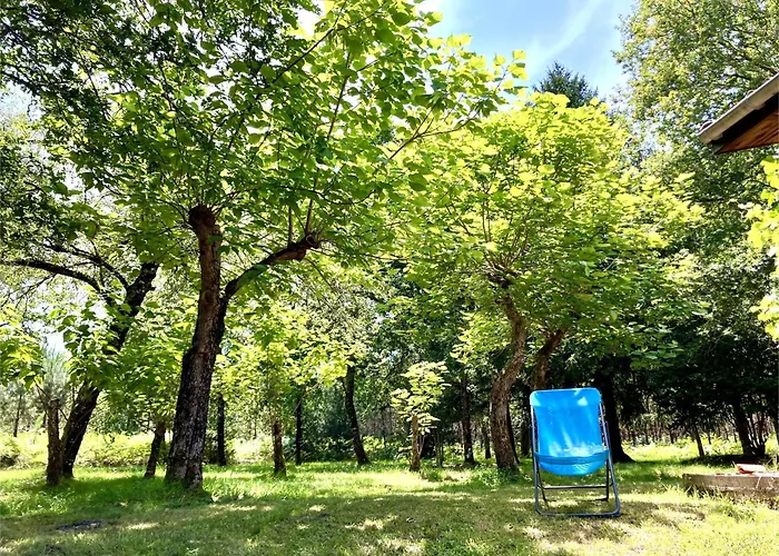 Maison En Foret, Calme, Proche Village Et Piste Cyclable - Meuble 3 Etoiles * Uza