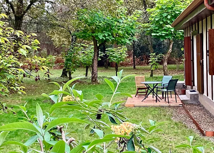 Semesterbostad Maison En Foret, Calme, Proche Village Et Piste Cyclable - Meuble 3 Etoiles Uza