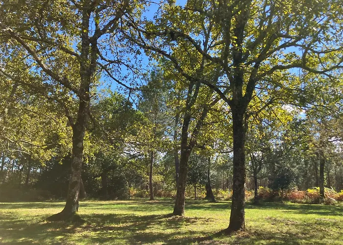 Maison En Foret, Calme, Proche Village Et Piste Cyclable - Meuble 3 Etoiles Uza