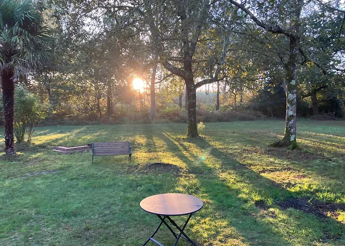 Maison En Foret, Calme, Proche Village Et Piste Cyclable - Meuble 3 Etoiles Semesterbostad