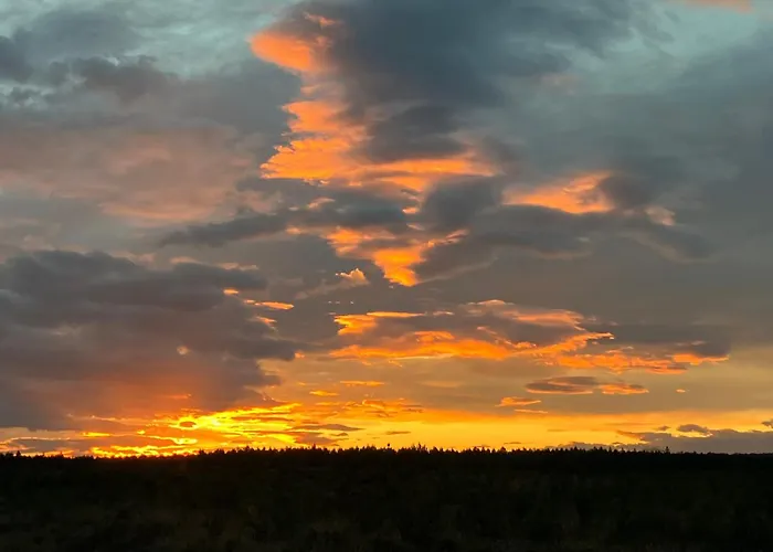 Semesterbostad Maison En Foret, Calme, Proche Village Et Piste Cyclable - Meuble 3 Etoiles *